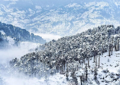 patnitop